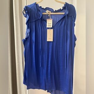 Joie Blue Sleeveless Pleated Ruffle Blouse